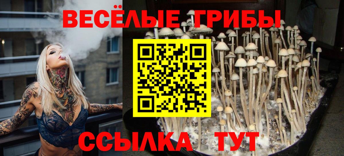 Псилоцибиновые грибы GOLDEN TEACHER Рубцовск